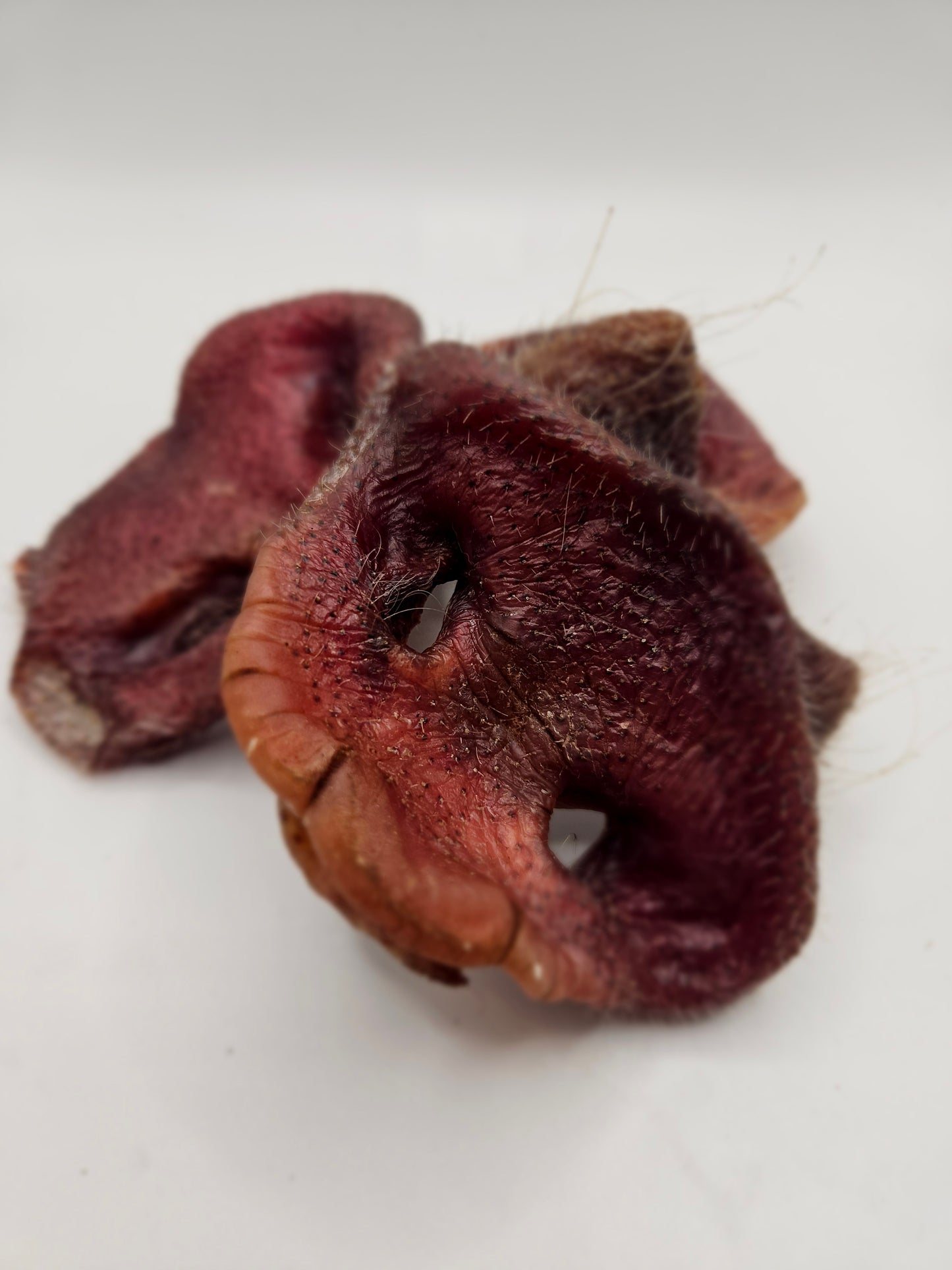 PIG SNOUTS