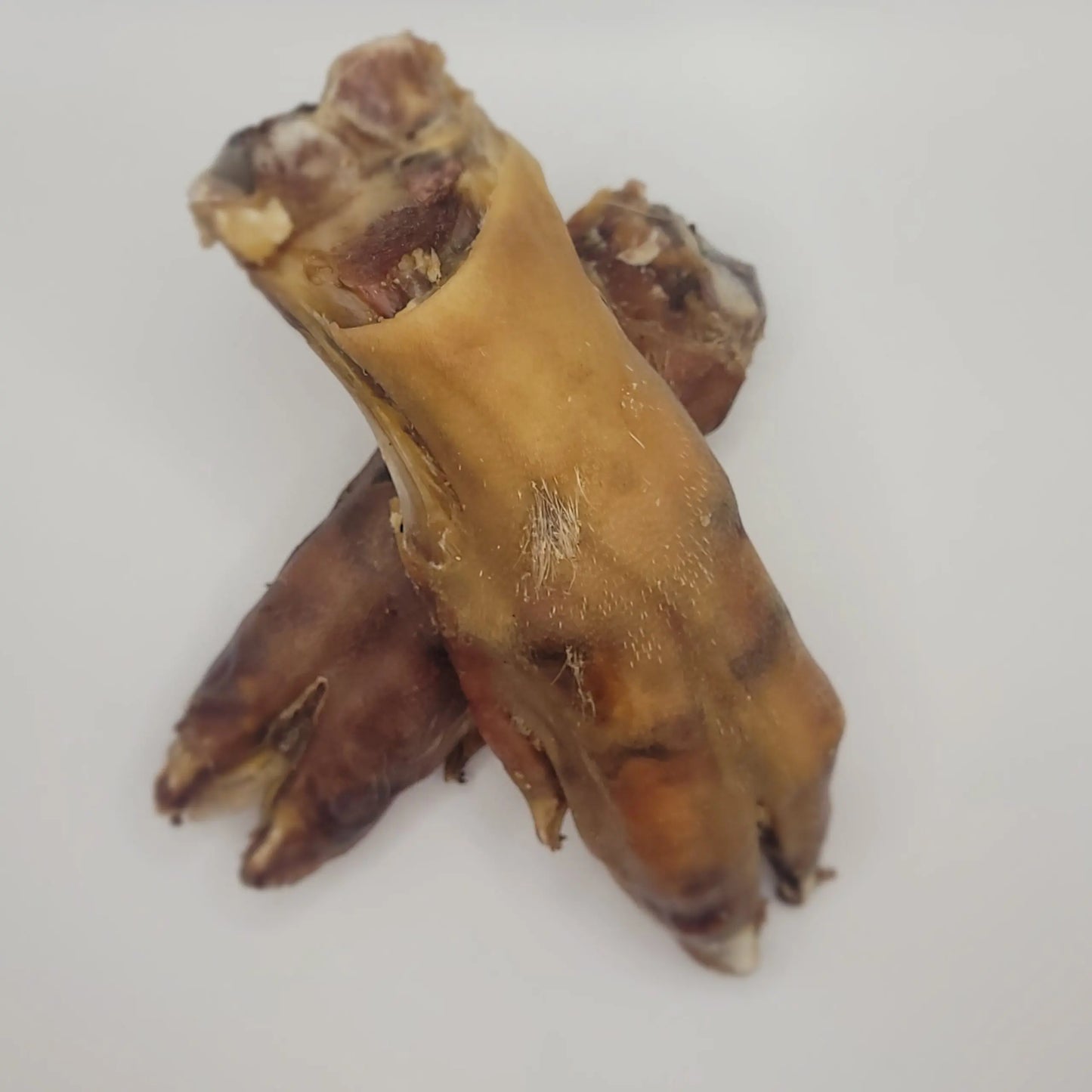 WHOLE PIG TROTTER