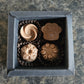 Carob Dog Chocolates