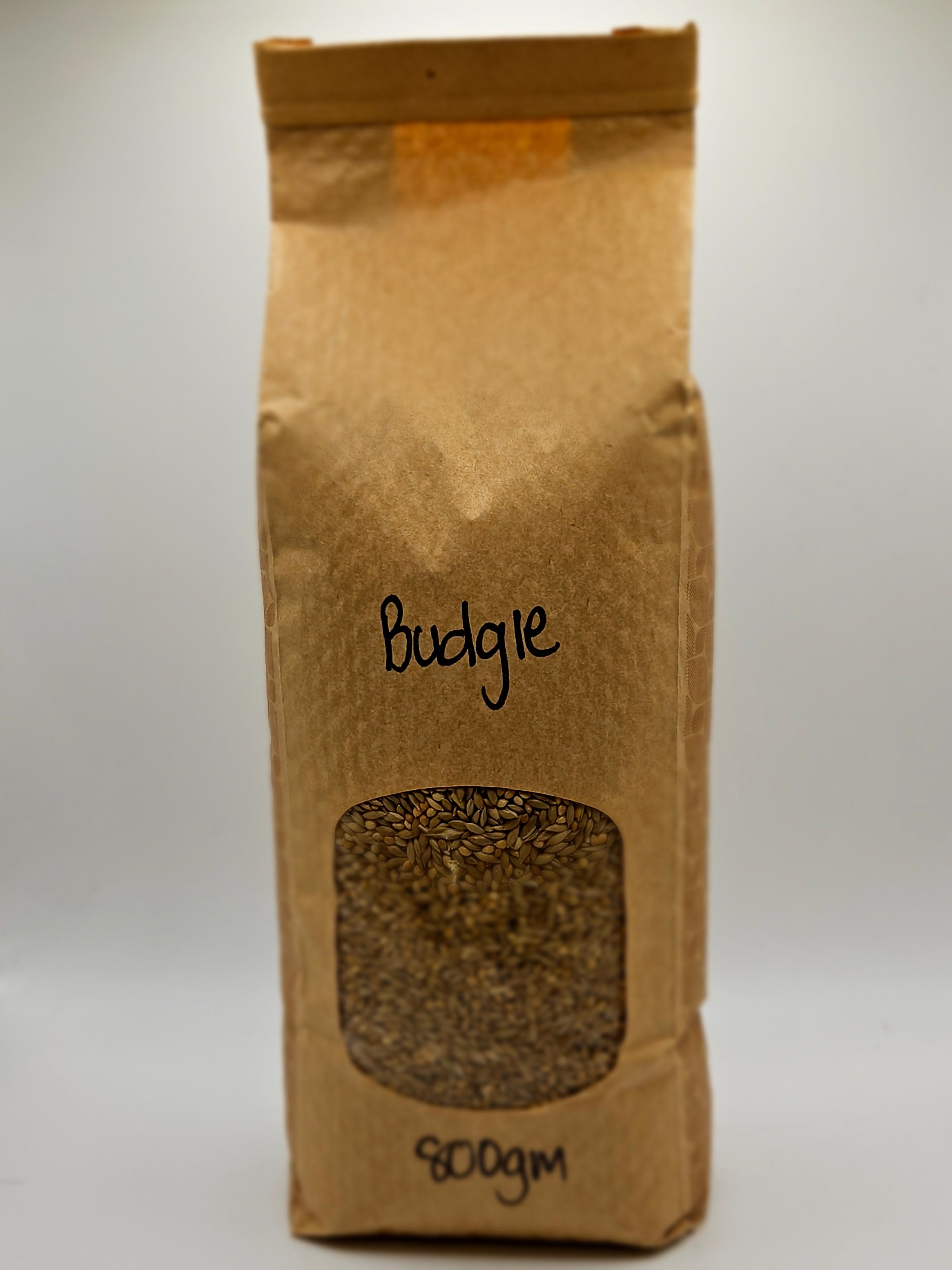 Illustration of Budgie Seed Mix And Pet Owners