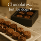 Carob Dog Chocolates